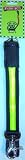 Pet Supplies : PolyBrite Lighted Dog Leash (Yellow/black , 5 ft.)