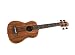 Kala KA-UBASS-2-FS Spruce Top UBASS, Fretted Kala KA-UBASS-2-FS Spruce Top UBASS, Fretted
