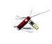 Victorinox Swissflash 1GB Ruby Multi-Tool