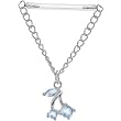 Invisible Bioplast Aqua Cherry Sterling Chain Drop Nipple Shield
