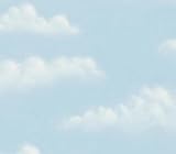 Puffy Cloud Wallpaper - Aqua (56 sq. ft.)