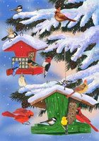 0153FL Winter Bird Feeders Snow Covered Large Flag