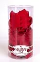 With Love Rose Scented Silk Petals