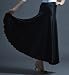 Capsule Ballroom Panel Skirt