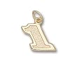 Driver Number 1 Small 1/2" Charm/Pendant -14K/10K, Stainless Steel or Gold Plated