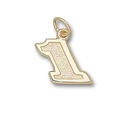 Driver Number 1 Small 1/2" Charm/Pendant -14K/10K, Stainless Steel or Gold Plated