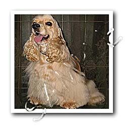 image link -  - B000LJOAH4
