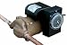 Armstrong Astro 20B050S-T 1/25 HP Recirculator Pump with Timer (110123-240)