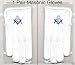 Masons Masonic Ceremonial Gloves (Blue Screenprinted) Mason,freemason Freemasons Free Mason Masons Masonic Masonry Freemasonry Past Masters' Emblem Shriner,york Scottish Rite, ,Grotto,movper, Craft Lodge Entered Apprentice Fellowcraft Master Rose Croix Blue Lodge