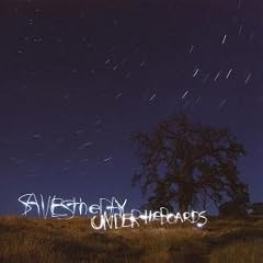 Under the Boards Vinyl by Saves the Day (Vinyl - 2008) - Original recording