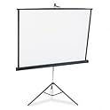 85" Projection Screen
