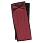 Burgundy Silk Tie & Cummerbund Set