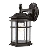 11-1/2-Inch Outdoor Wall Light
