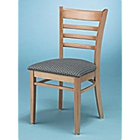 Medline Dining Chair Collection - Versatile Dining Chair - TB117 - 18'W x 20'D x 23 1/4'