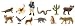 Search : Desert Toob