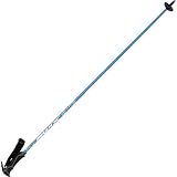 Swix Women's Recreational Composite Medevil Ski Poles