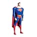 Superman vs. Doomsday: Superman Action Figure