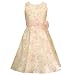 Apparel : Plus Size Girls Easter Dress RARE EDITIONS Special Occasion IVORY 10.5-18.5