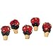 Poinsetias Porcelain Extra Fig