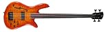 Spector SpectorCore4 Bass Guitar (4 String, Fretless, Amberburst)