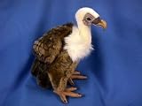 Plush Vulture Standing 12"