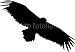 Wallmonkeys Peel and Stick Wall Decals - Vulture Logo - Removable Graphic