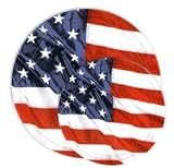 Flying Colors Plates by Arkansas Flag and Banner