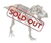 Discovery 3-Foot Ultimate T-Rex Skeleton