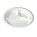 Solo FS10CY Basix 10In White Foamplate (500)