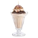 Vanilla Ice Cream Sundae Scented Home Fragrance Candle