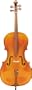 Engelhardt School Model Cello, 1/2