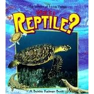 What Is a Reptile? (The Science of Living Things)