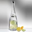 Prodyne FB-32 Fusion Bottle- Cocktail Shaker-Spirit Infuser- Pack of 6