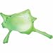 Splat Frog