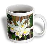 Flowers - Orchid - Mugs
