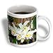 Flowers - Orchid - Mugs
