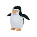 Search : Ty Beanie Baby - Skipper the Penguin (Madagascar Movie Beanie)