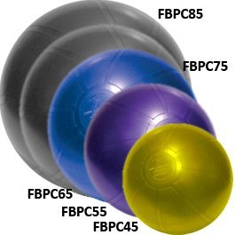 DuraBall PRO Professional Exercise Ball (22 in.) On Sale