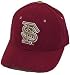 FSU Florida State Seminoles Zephyr DH Fitted Cap