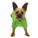 Zack &amp; Zoey Polyester/Cotton Basic Dog Hoodie, X-Small, 8-Inch, Parrot Green