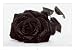 Gothic Rose Art Poster Print, 36x24