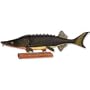 Oldie Sturgeon
