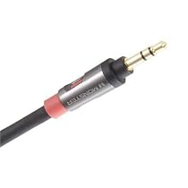 Monster iCable 800 MP3 Player to Auxillary Input Cord (3 Feet)