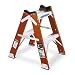 Werner T6202 2-Foot 300-Pound Duty Rating Fiberglass Twin Step Stool