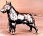 Bull Terrier: Cold-cast Bronze Figurine 6.5 Inches Long