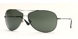 Ray Ban RB3293 Sunglasses - 004/71 Gunmetal/Green lens