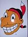 Cleveland Indians 1948 World Series Corn Hole Cling/decal 11x17 Exclusive
