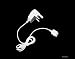 C & G Ipod AC Charger