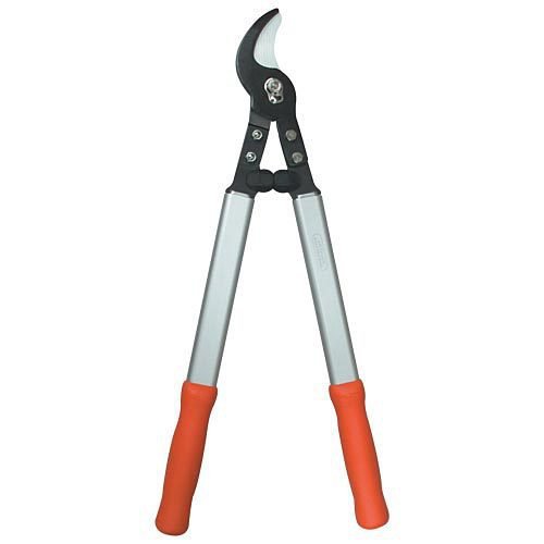 desertcart.ae Am Leonard Buy Am Leonard products online in UAE Dubai, Abu Dhabi, Sharjah