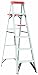 Black & Decker BXL2210-06  6-Feet  225 Pound Duty Rating Aluminum Step Ladder Type II